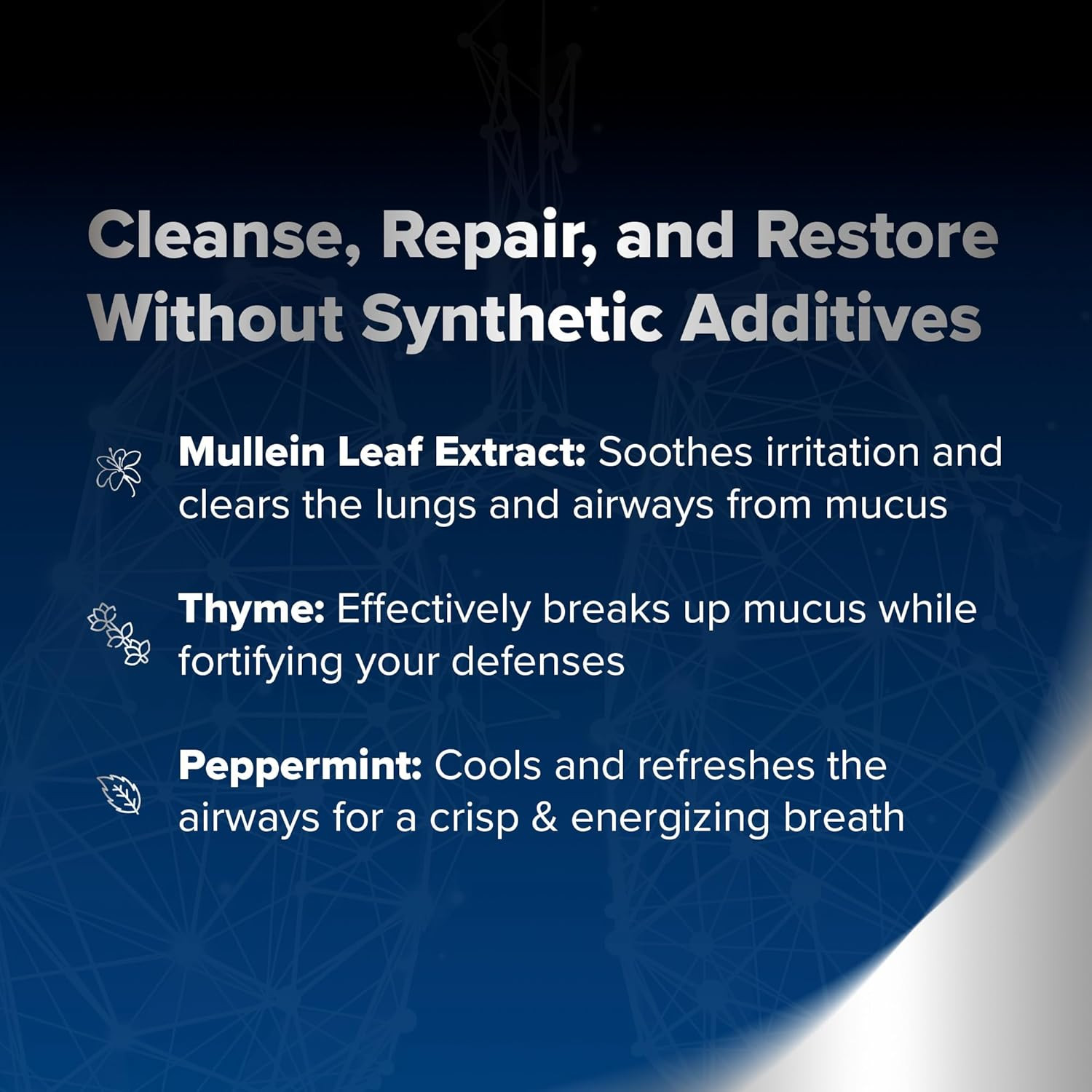 Lung Renew Mullein Drops for Lungs (1 Fl. Oz.): Peppermint, Thyme, & Mullein Lea