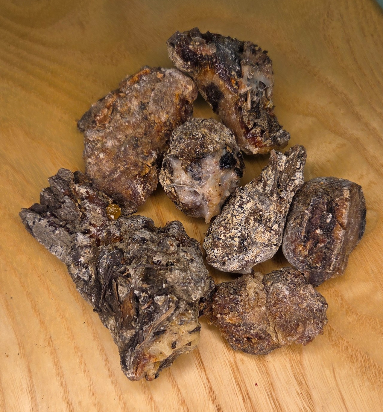 Pinyon Pine Resin – Pinus Monophylla – United States