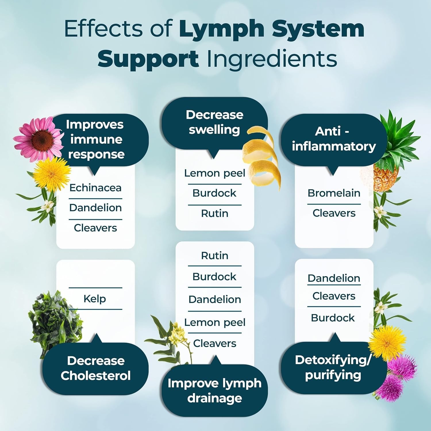 PUREHEALTH RESEARCH Lymph System Support Supplement,Lymphatic Drainage