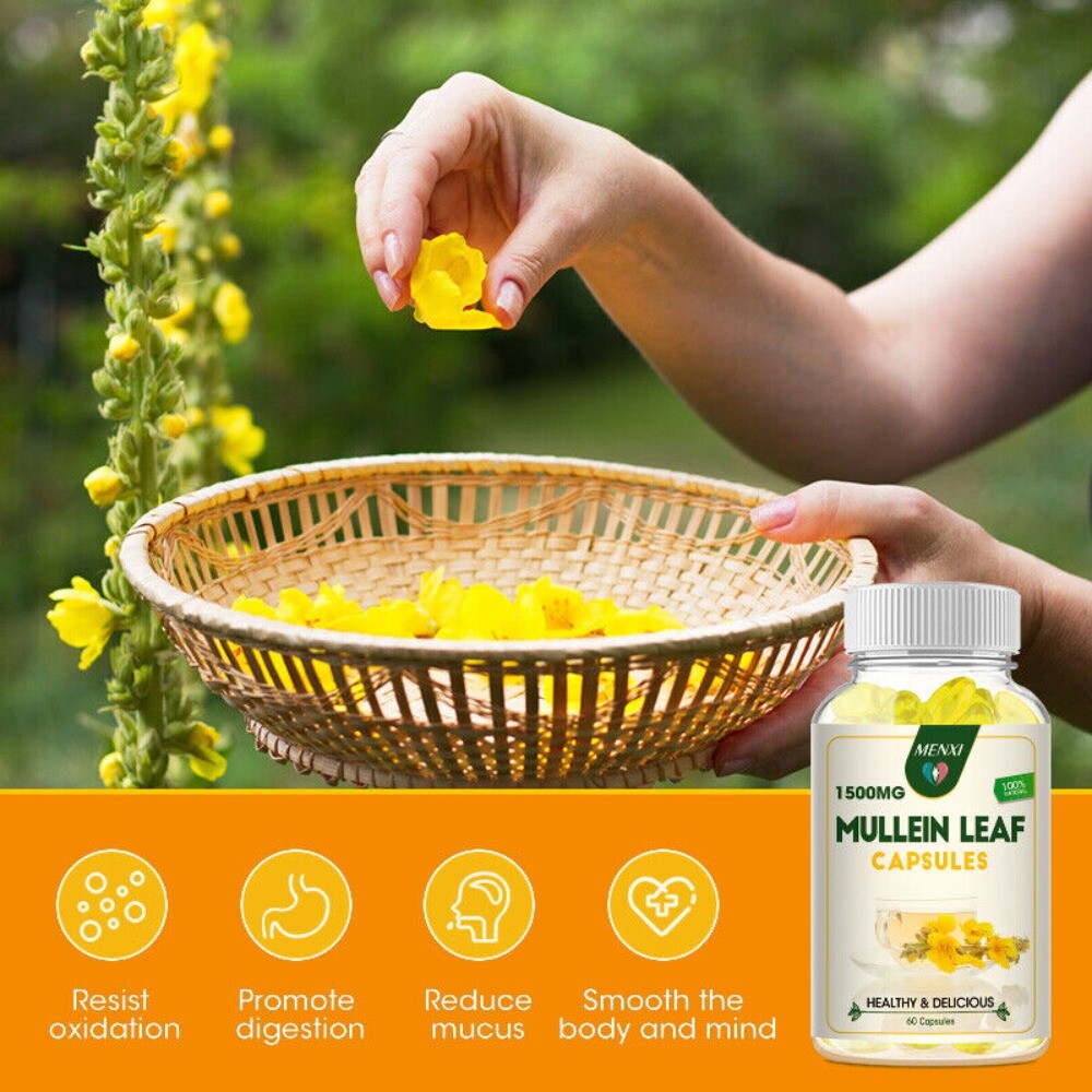 Mullein Leaf 240 Capsules for Lung Cleansing & Detox Herbal Dietary Supplement