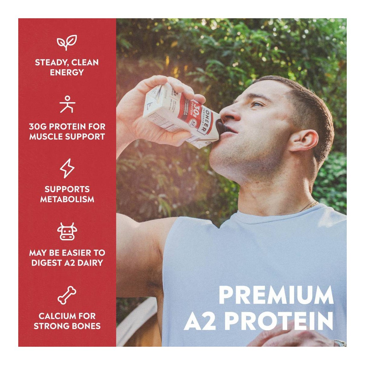 Pioneer Pastures A2 High Protein – 30g Protein-Strawberries & Cream-4pk/11 fl oz