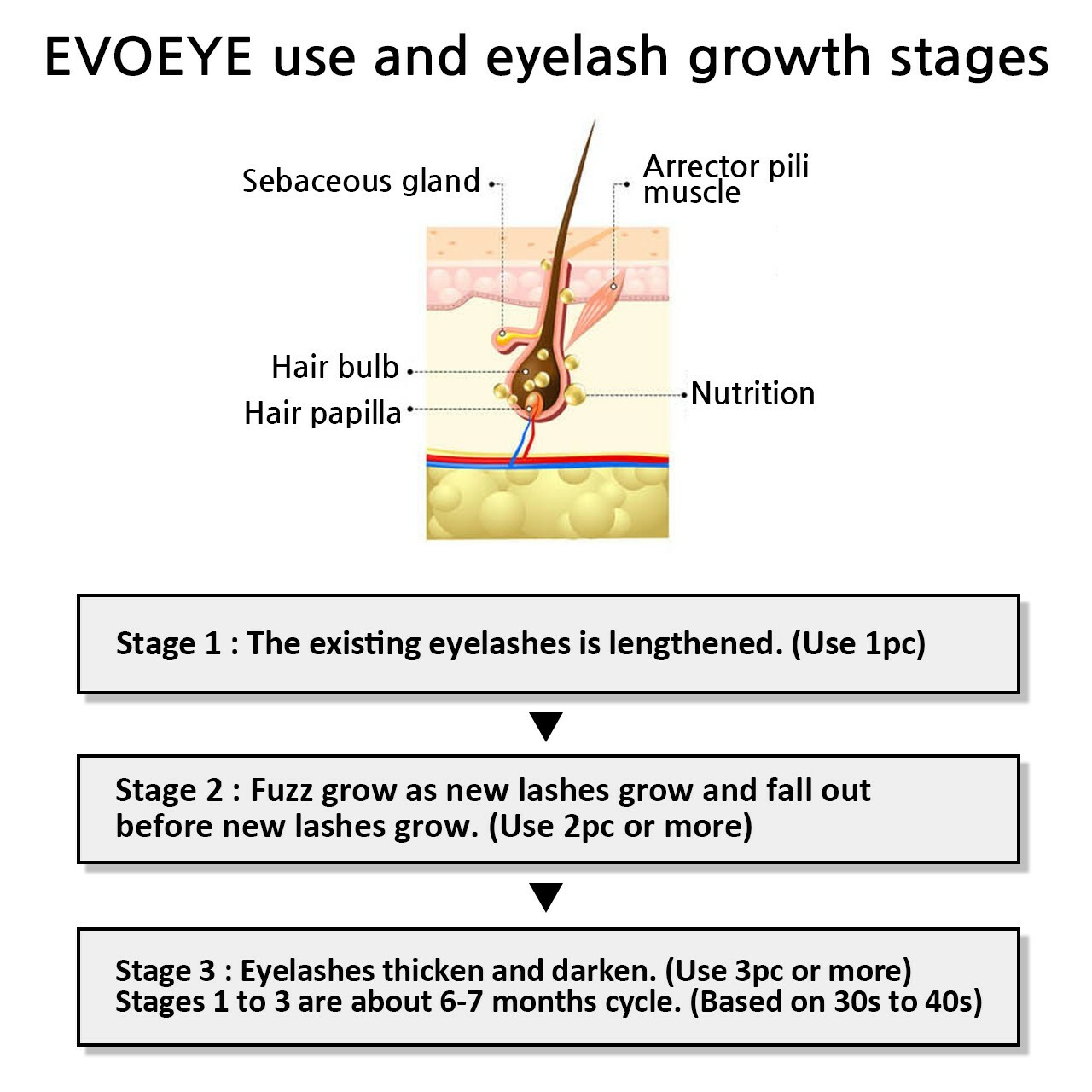 EVOBEAUTE EVOEYE Eyelash Formula 3ml 0.1fl oz Premium Eyelash Serum Supplement