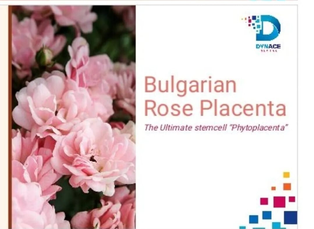 Dynace Rocenta Antioxidants, Blood Sugar Support, Blood Health…