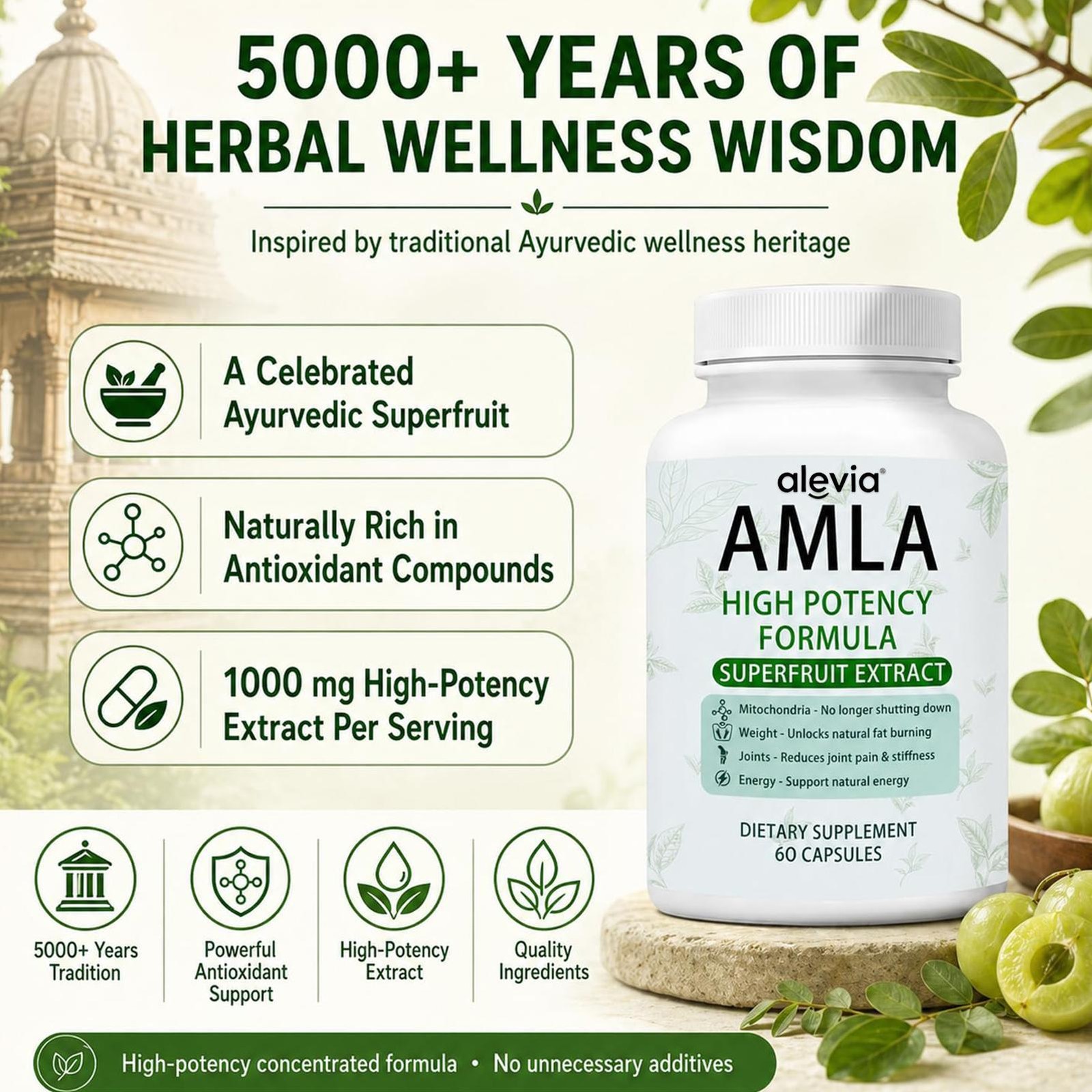 AMLA Capsules Superfruit Extract High Potency Formula 60 Capsules