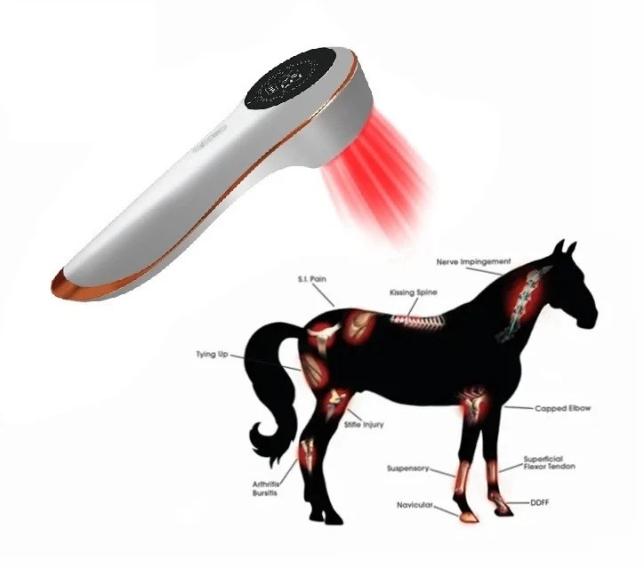 Best Low Level Laser Therapy Prof. & Home Cold Laser Unit Body Pain Relief