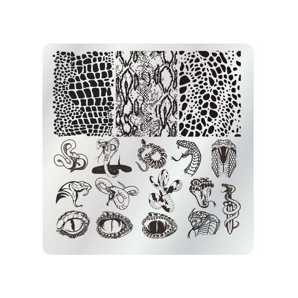 15Pcs Nail Stamping Plates Set with Stamper, Scraper & Storage Bag, 6x6cm