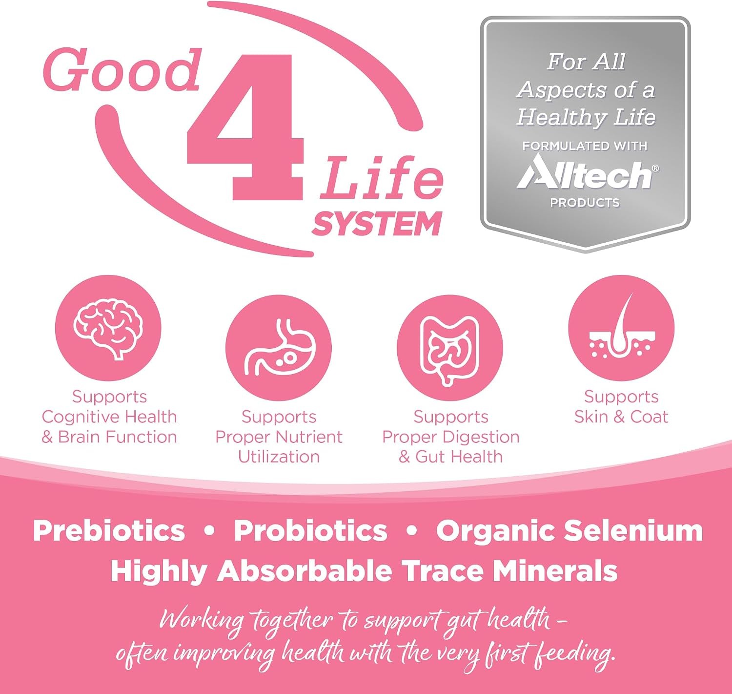 PureVita Salmon and Peas Grain-Free Dog Food 5Lbs