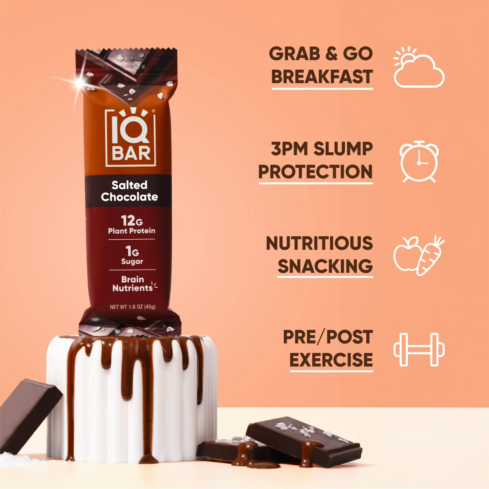 IQBAR Salted Chocolate Protein Bars – Vegan Energy Bars – High Fiber Ve