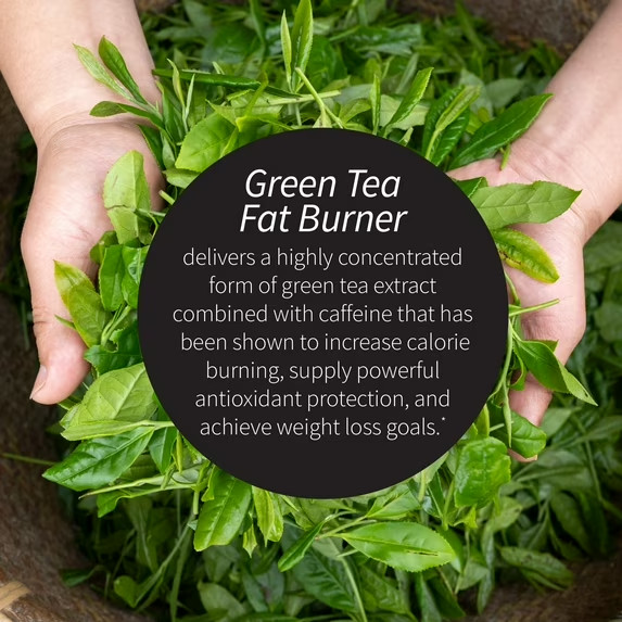 Applied Nutrition Green Tea Weight Loss Supplement, 90 Capsules Free Shipping..