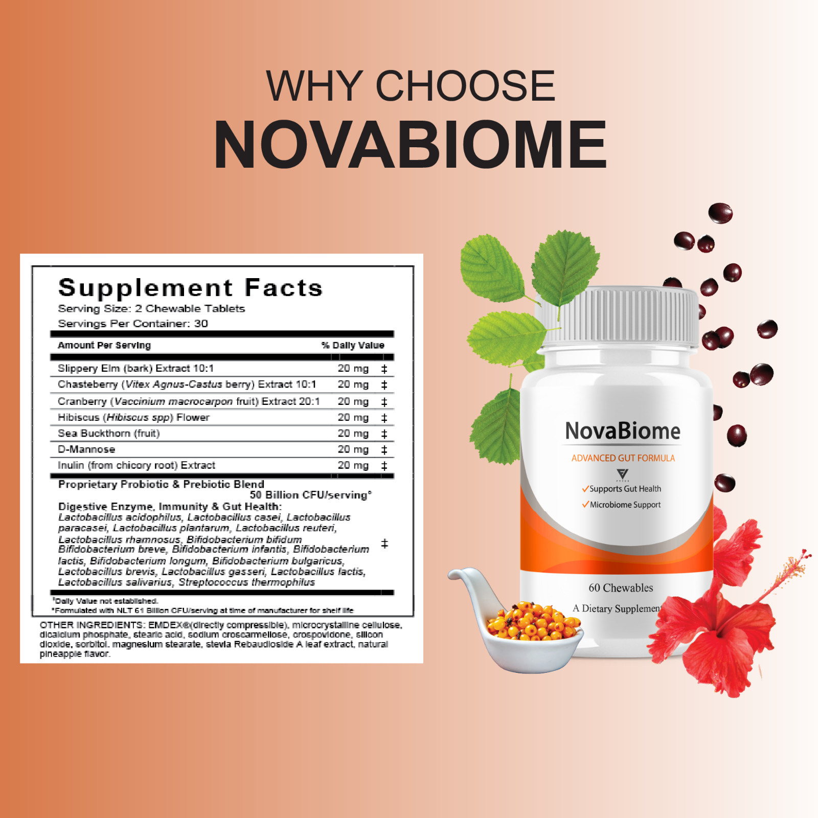 NovaBiome Advanced Gut Formula, Nova Biom Daily Support (60 Chewables)