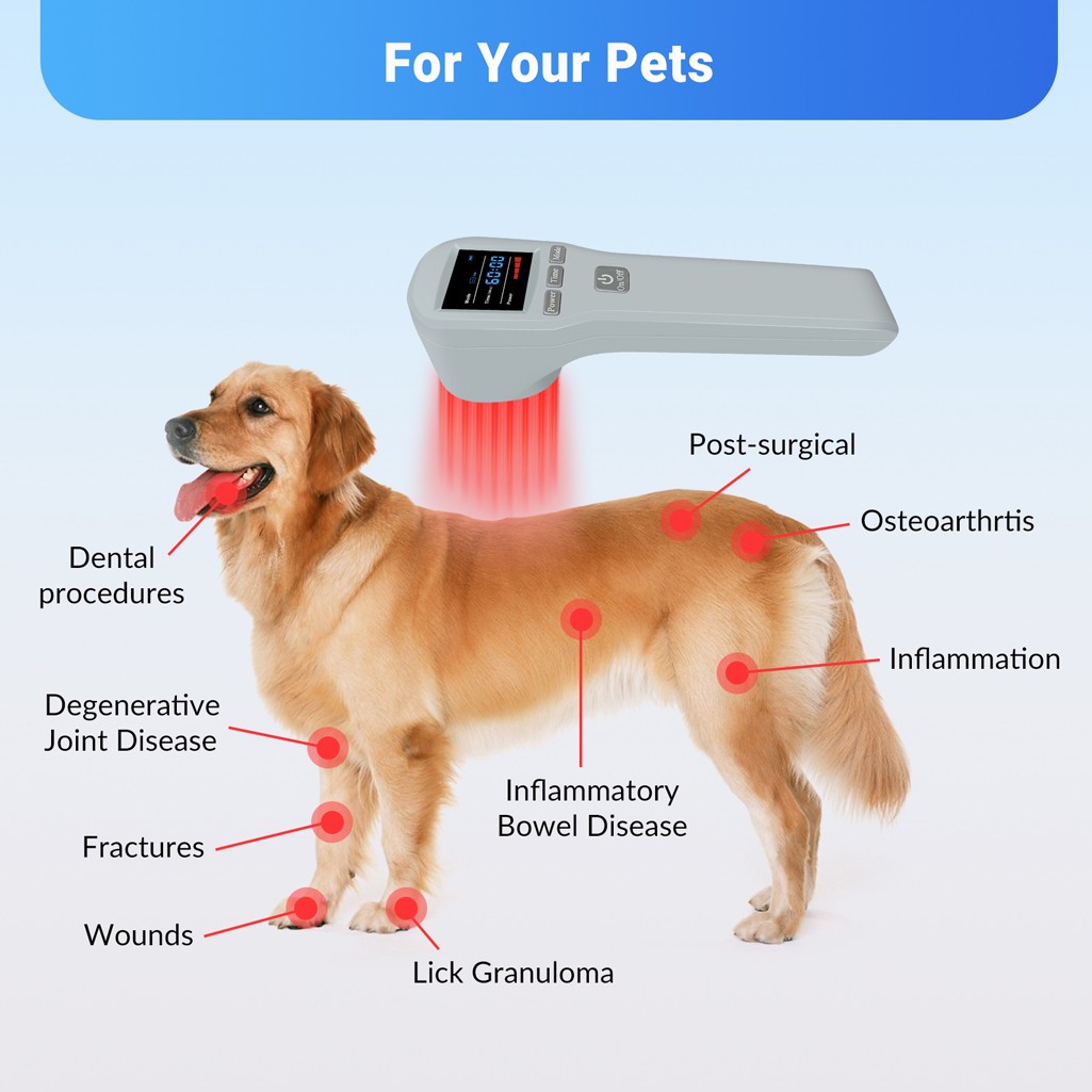 650nm 808nm Red Light Therapy Device Class 3B Cold Laser for Joints Pain Relief
