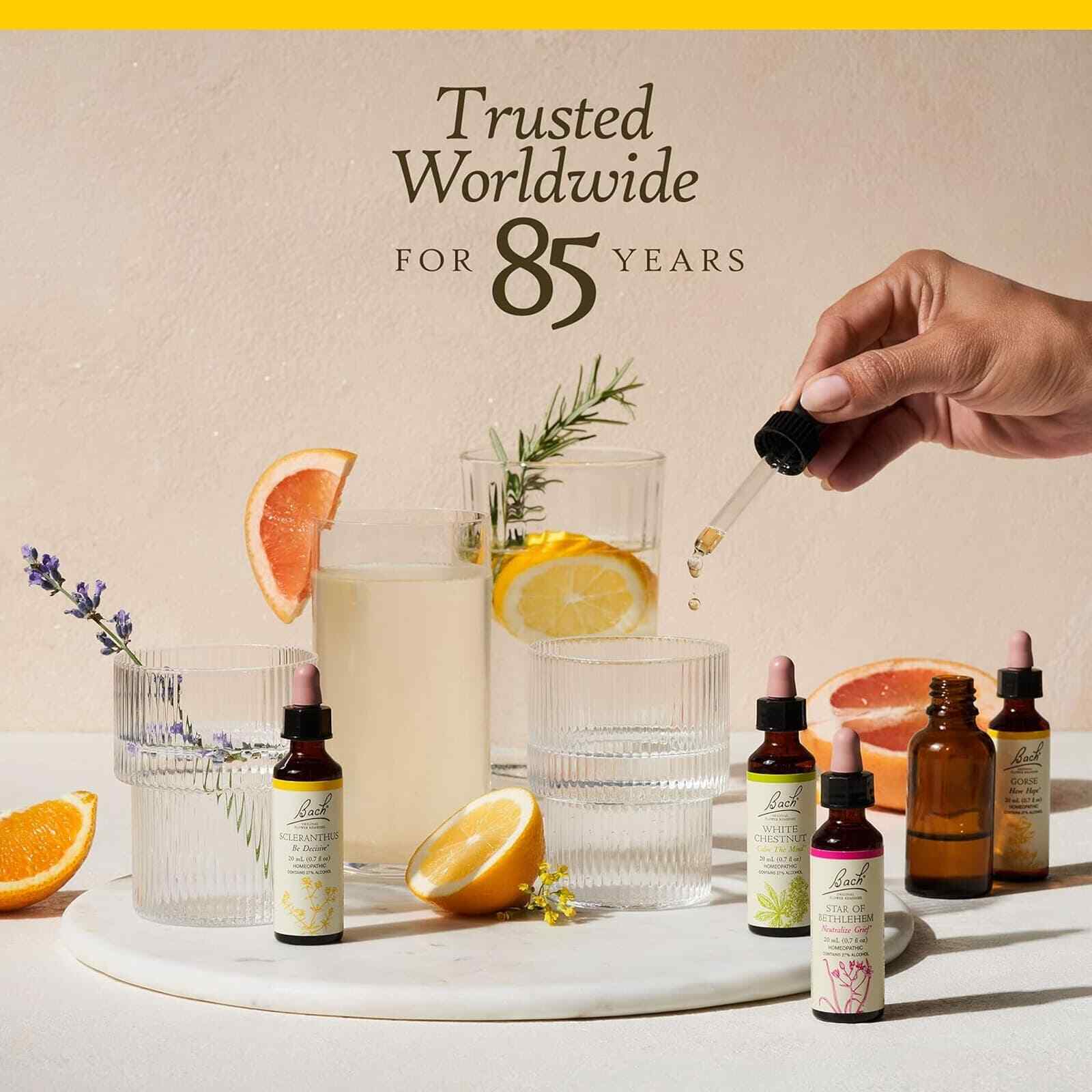Bach Original Flower Remedies Wild Oat Decide Your Path 0.7 fl oz 20mL