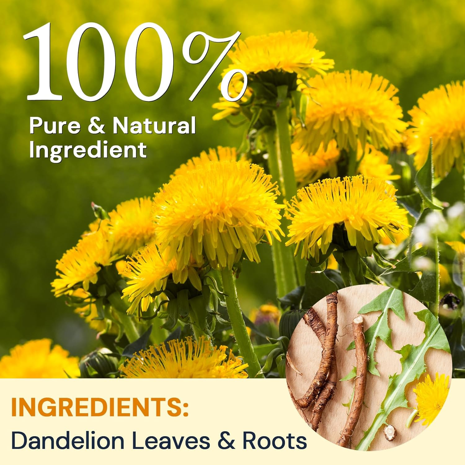 Dandelion Leaf & Root Herbal Tea-Caffeine-Free, 50 Teabags