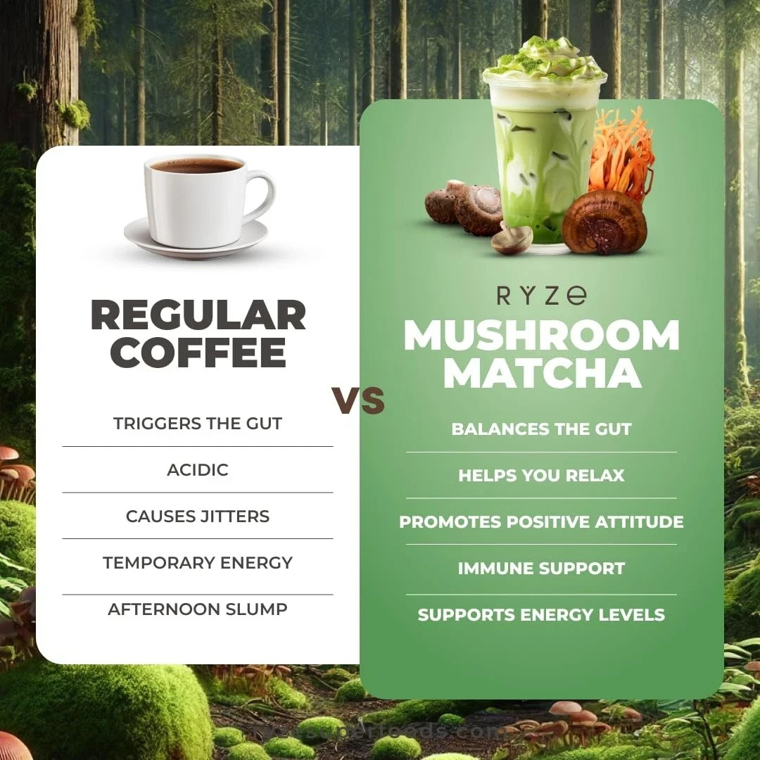 RYZE SUPERFOODS Mushroom Matcha, USDA Organic , 30 Servings EXP: 04/01/2027