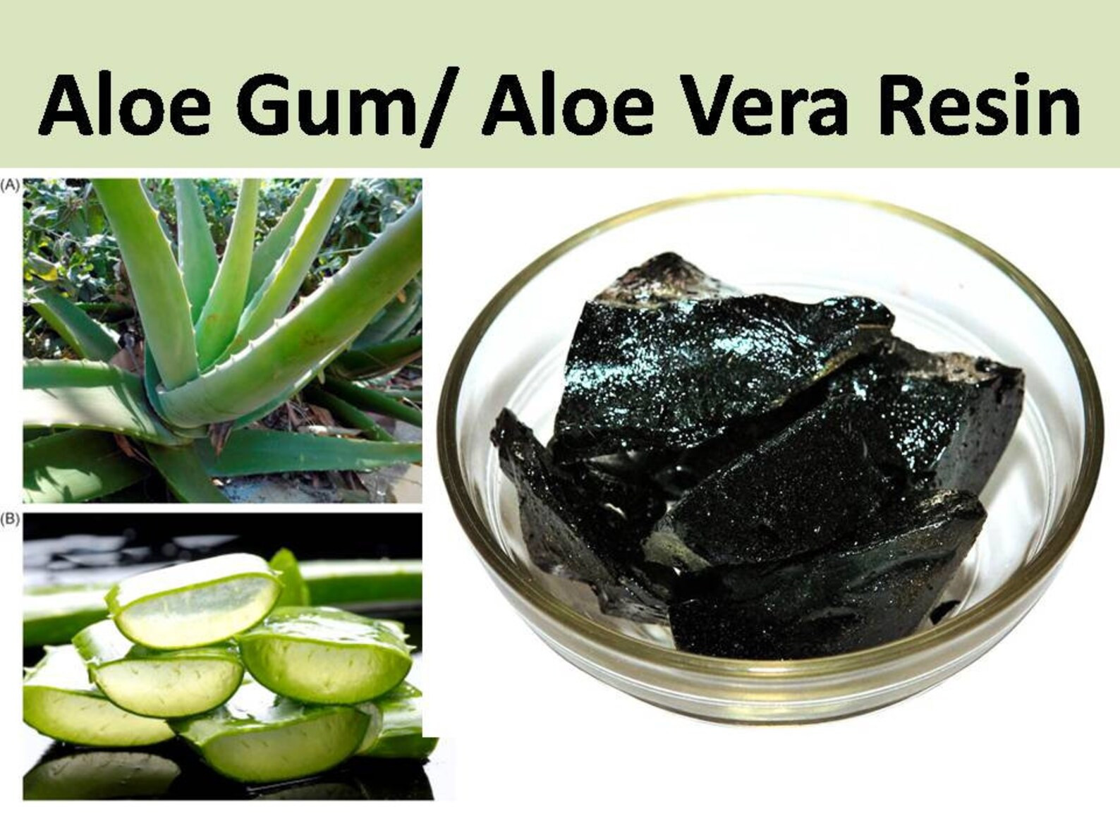 *USDA Organic Gum Aloes Pure Aloe Vera Resin 100% Medicinal Gum Aloe BOGO SALE