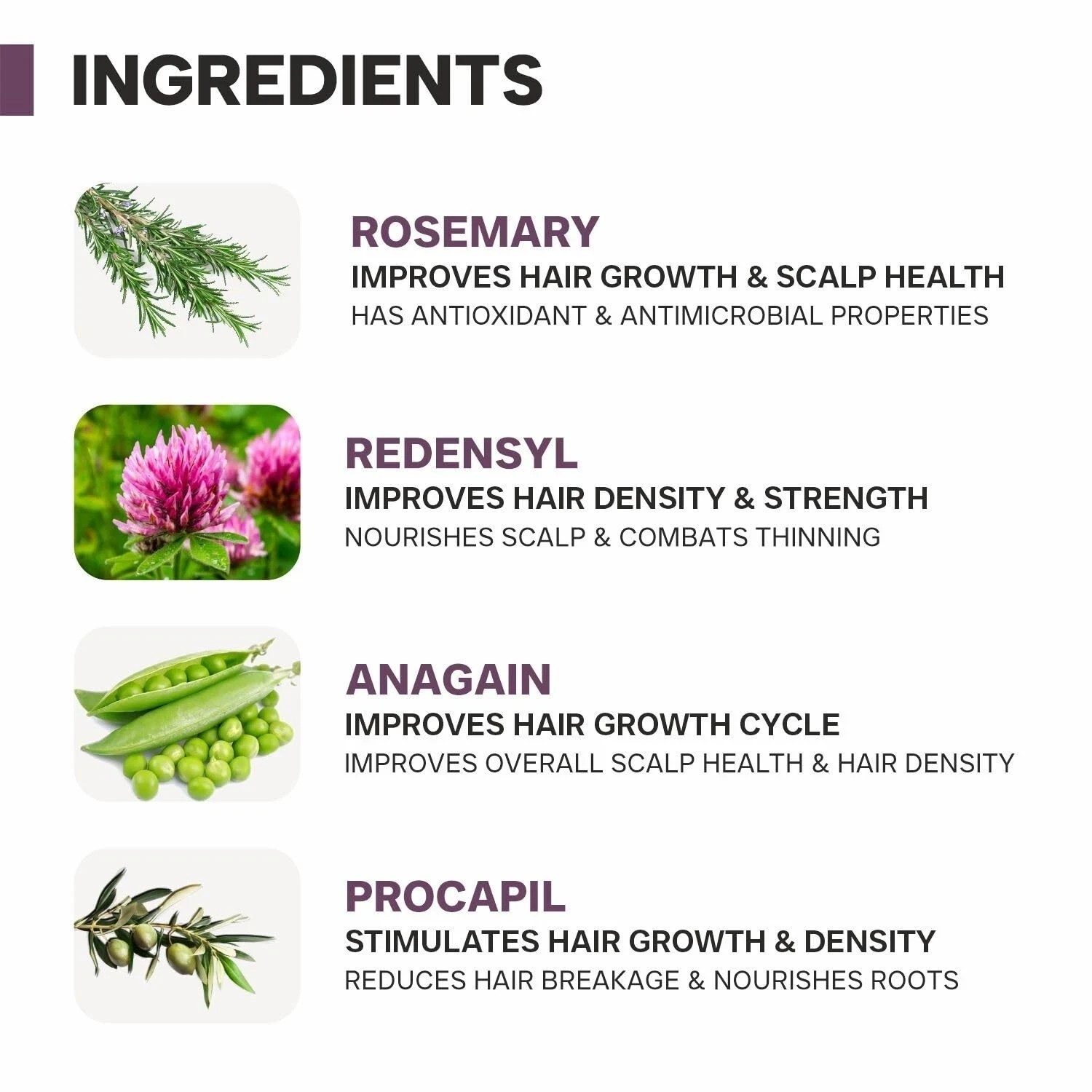 DERMATOUCH Rosemary Water Spray For Hair Growth & Fall Control, Adds Shine 50ml