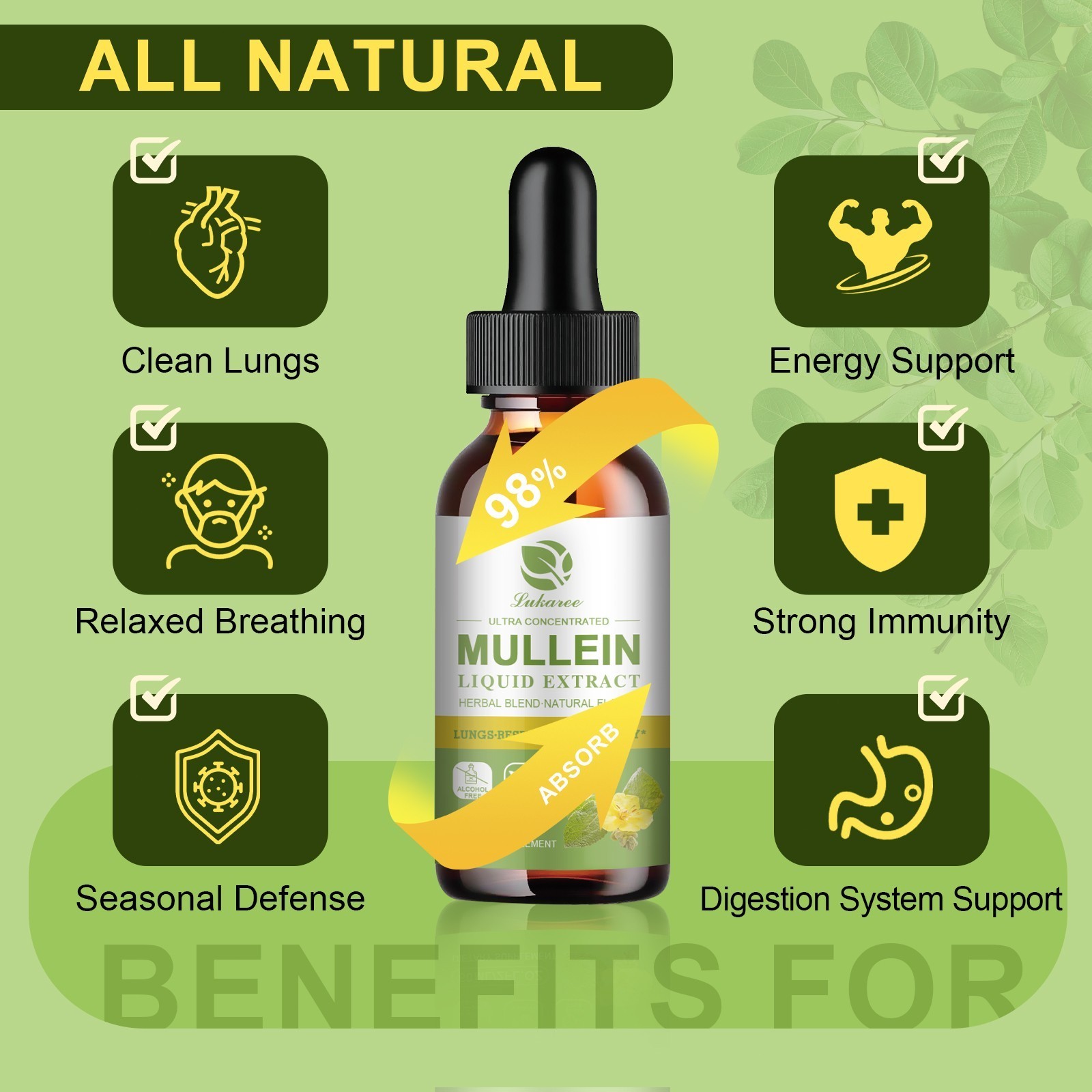 Mullein Drops for Lungs Mullein Leaf Extract for Lungs & Respiratory Immune 60ML