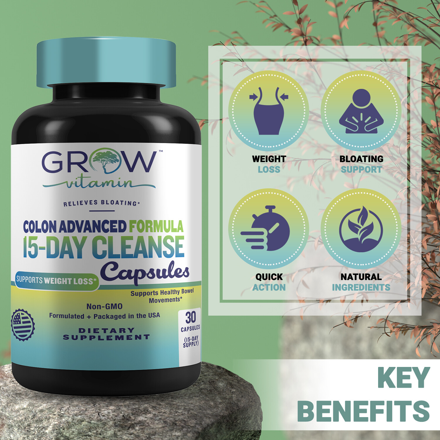 COLON 14 DAY Quick Cleanse Support Detox Weight Loss Increased Energy, NW 2024