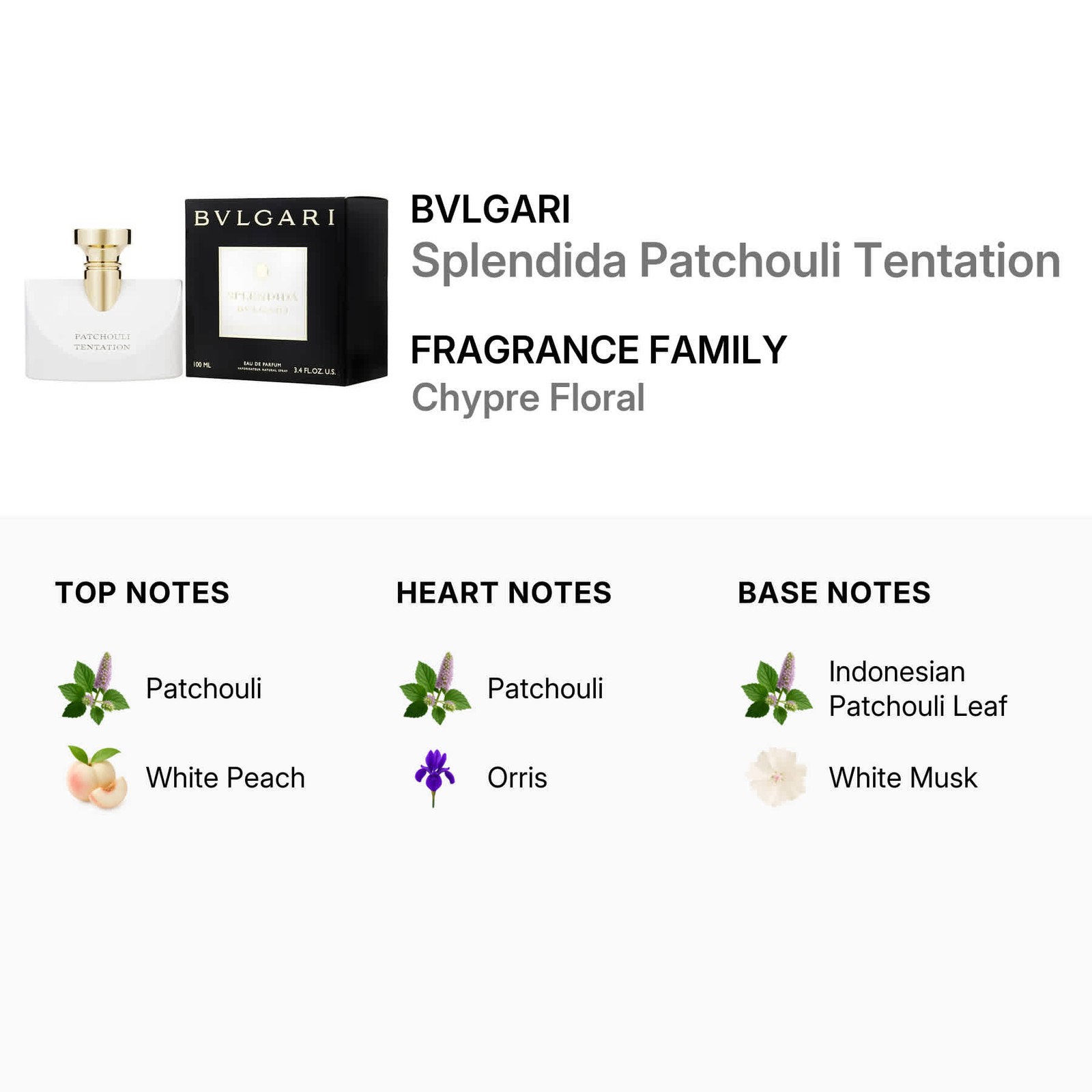 Bvlgari Ladies Splendida Patchouli Tentation EDP Spray 3.4 oz Fragrances