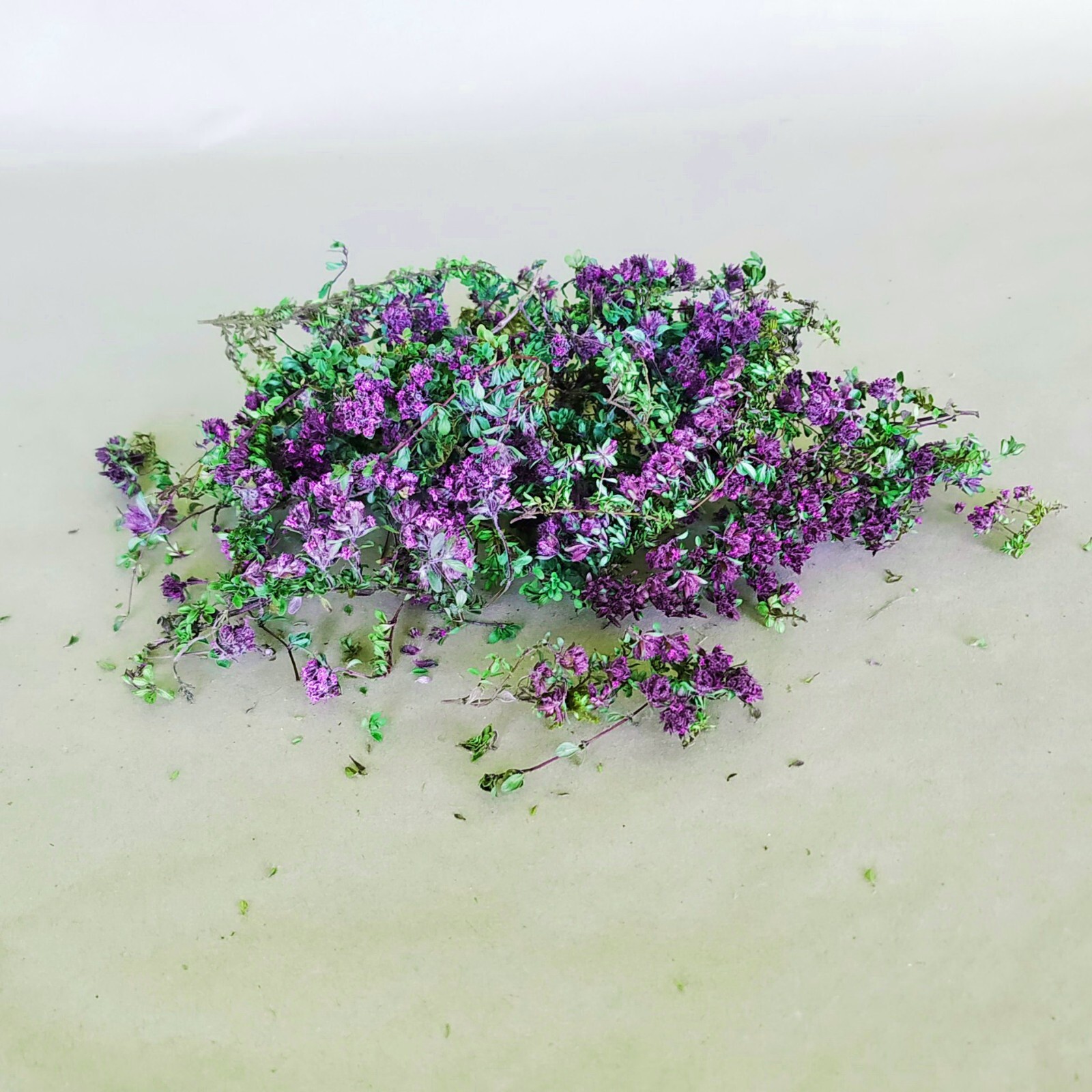 Icelandic wild harvested Arctic Thyme (Thymus arcticus) Whole dried natural herb