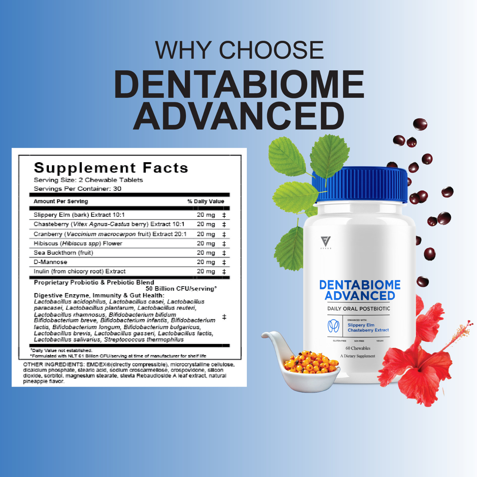 Dentabiome Advanced, Denta Biome Daily Support Formula (60 Chewables)