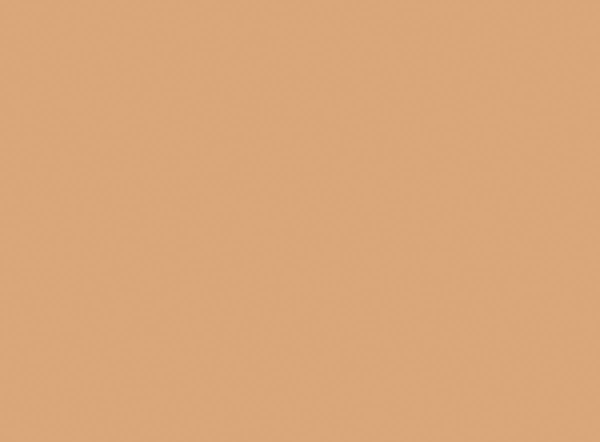Milani Conceal + Perfect 2-in-1 Foundation Concealer Warm Beige 0.47 oz