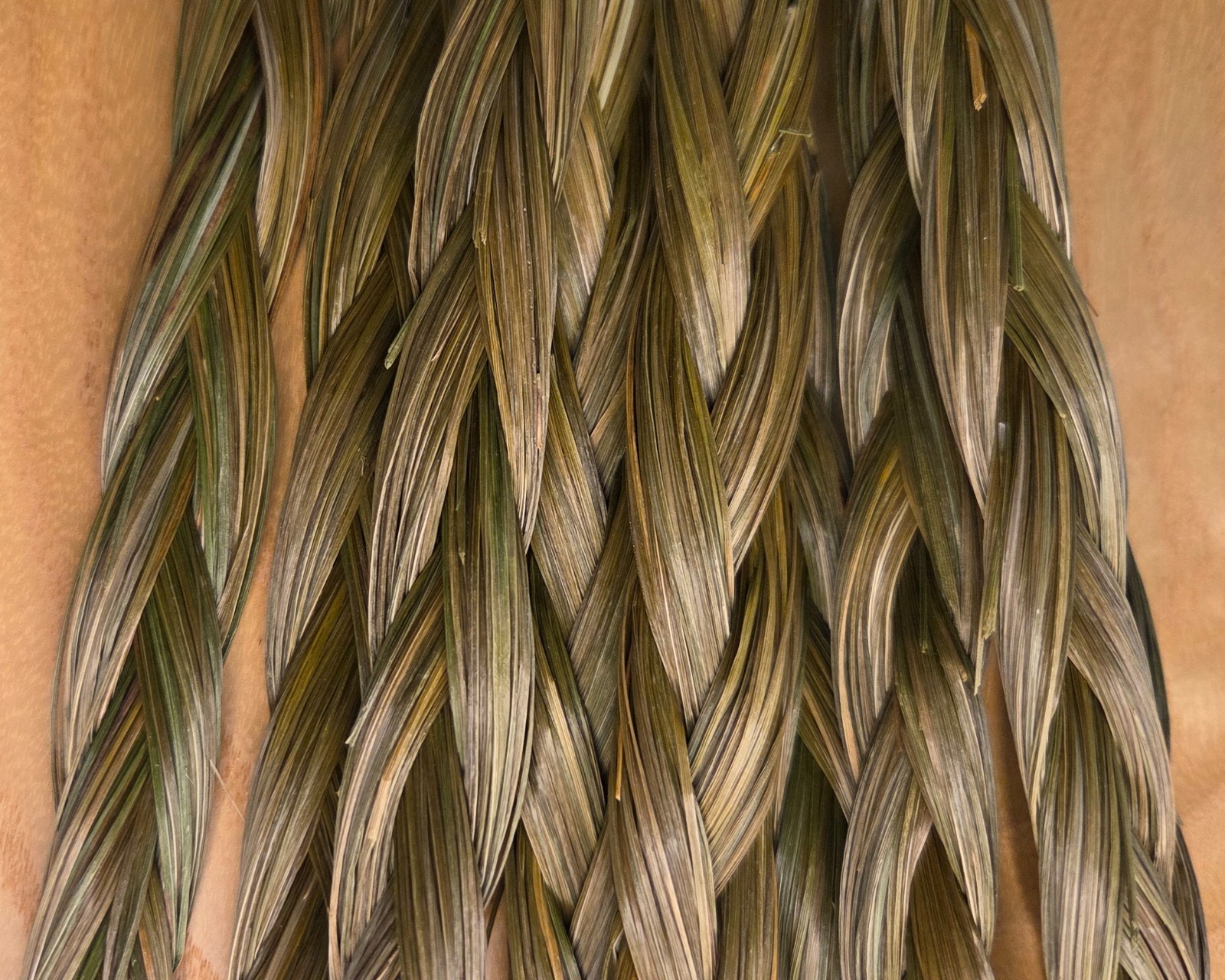 Sweetgrass Braids ~ Hierochloe Odorata ~ United States