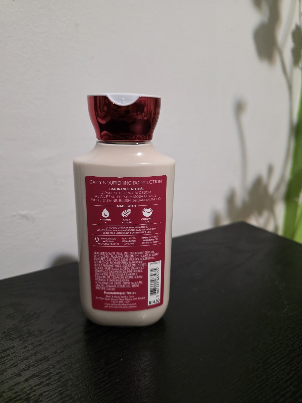 Bath & Body Works Japanese Cherry Blossom 24 Hour Moisture Body Lotion 8 fl oz
