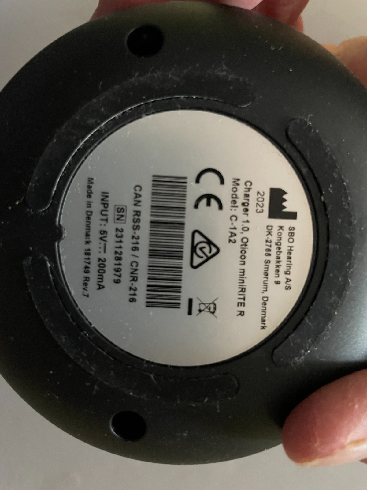 Oticon Real 2 MiniRite Hearing Aids minirite r c090 with C-1A2 charger
