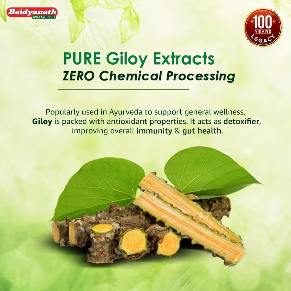 Baidyanath Giloy Satwa 50 gm / 1.76 oz Ayurvedic Herbal Powder For Immunity