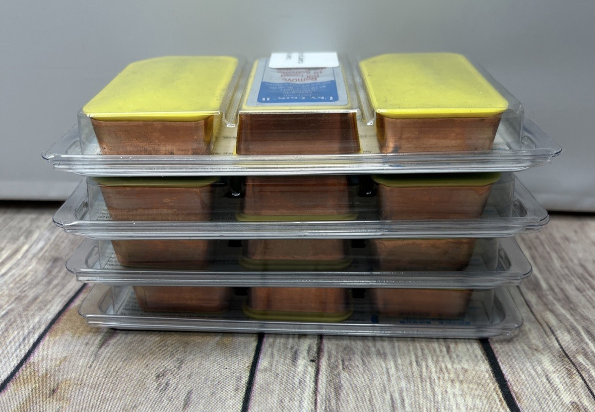 Dry-Brik II Desiccant Blocks Dry & Store 4 Packs of 3 = 12 Dry Brik dry-briks