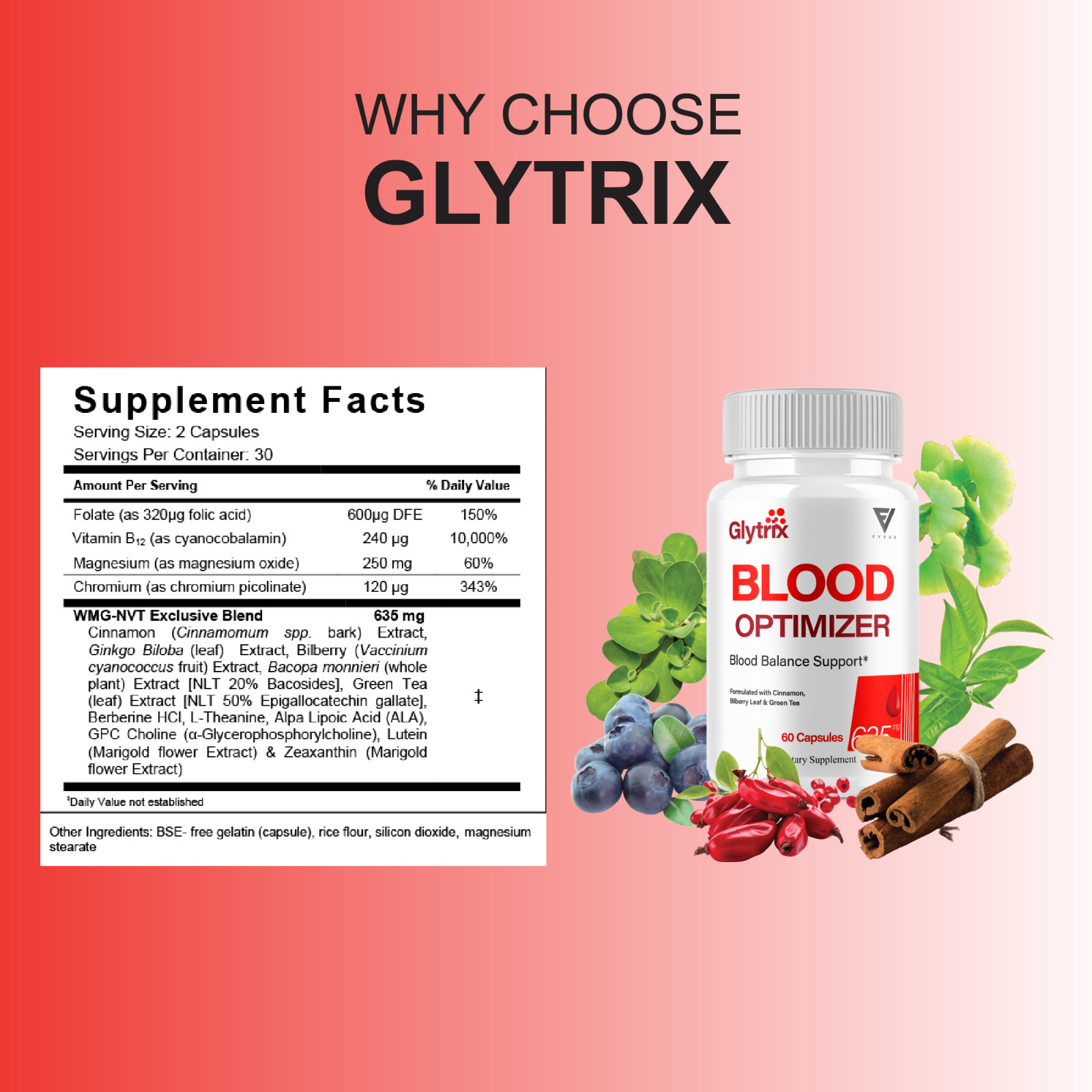 (5 Pack) Glytrix Premium Blood Support, Glytrix Advanced Pills (300 Capsules)