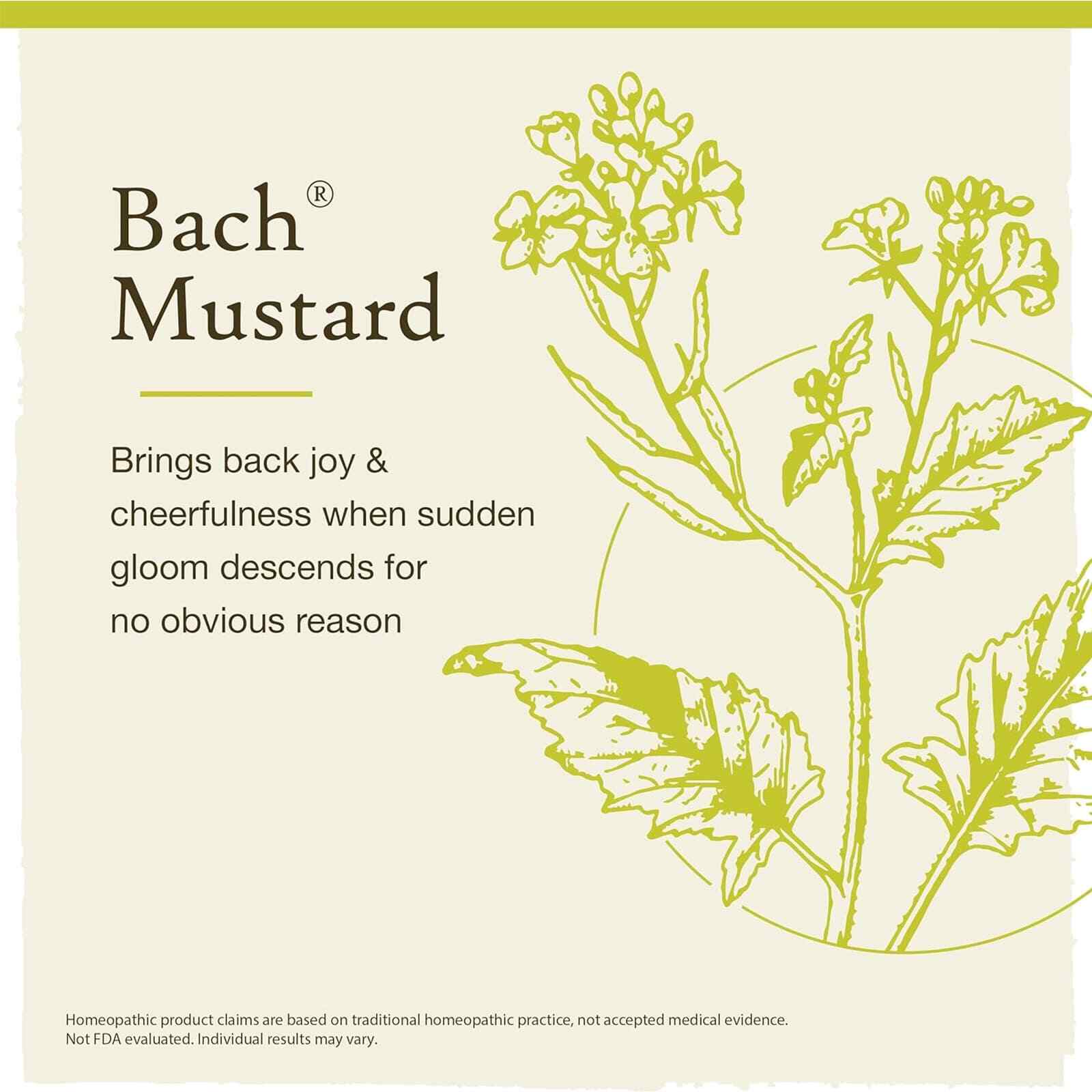 Bach Original Flower Remedies Mustard Be Joyful 0.7 fl oz 20mL