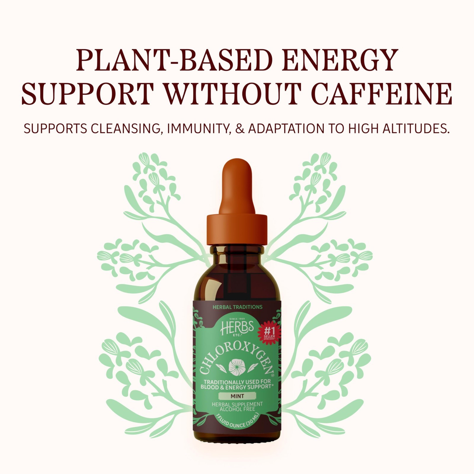 Chlorophyll Concentrate Liquid Drops – Mint Flavor, Alcohol-Free, Detox & Energy