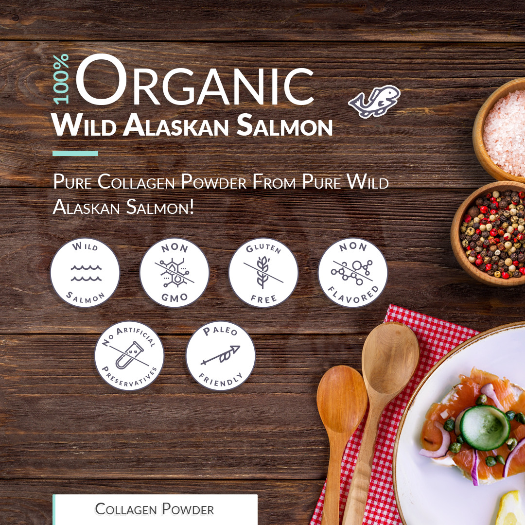 Wild Alaskan Salmon Bone Broth Powder – Pure Protein Organics 450g Unflavored