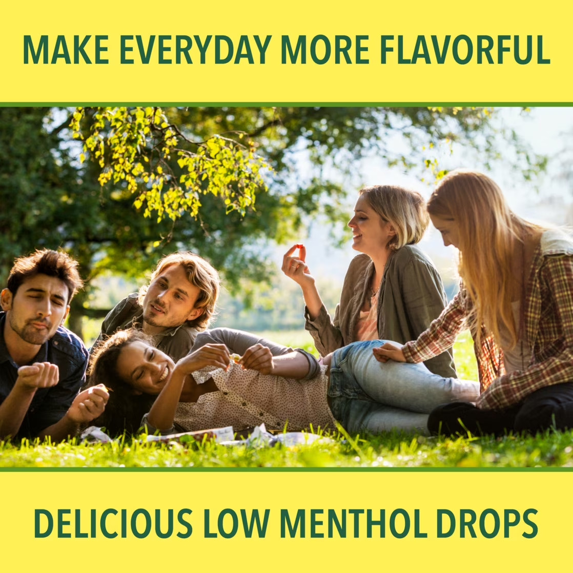 Ricola Big Bag Sugar Free Cough Drops Drops 2245, Lemon, lemon mint, 45 Count…