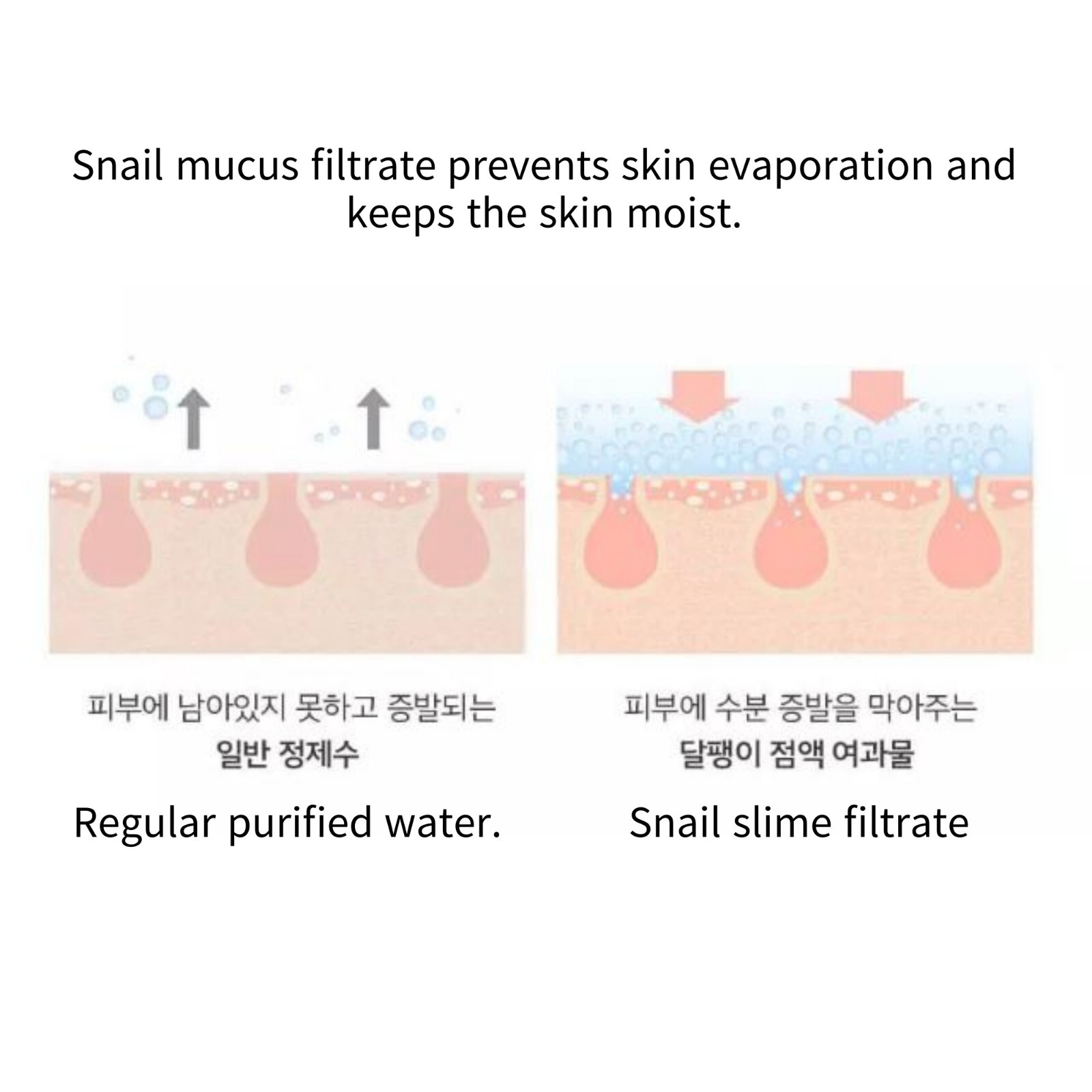 Jaminkyung Original Crema Caracol Original Snail Cream 50ml For Damaged Skin