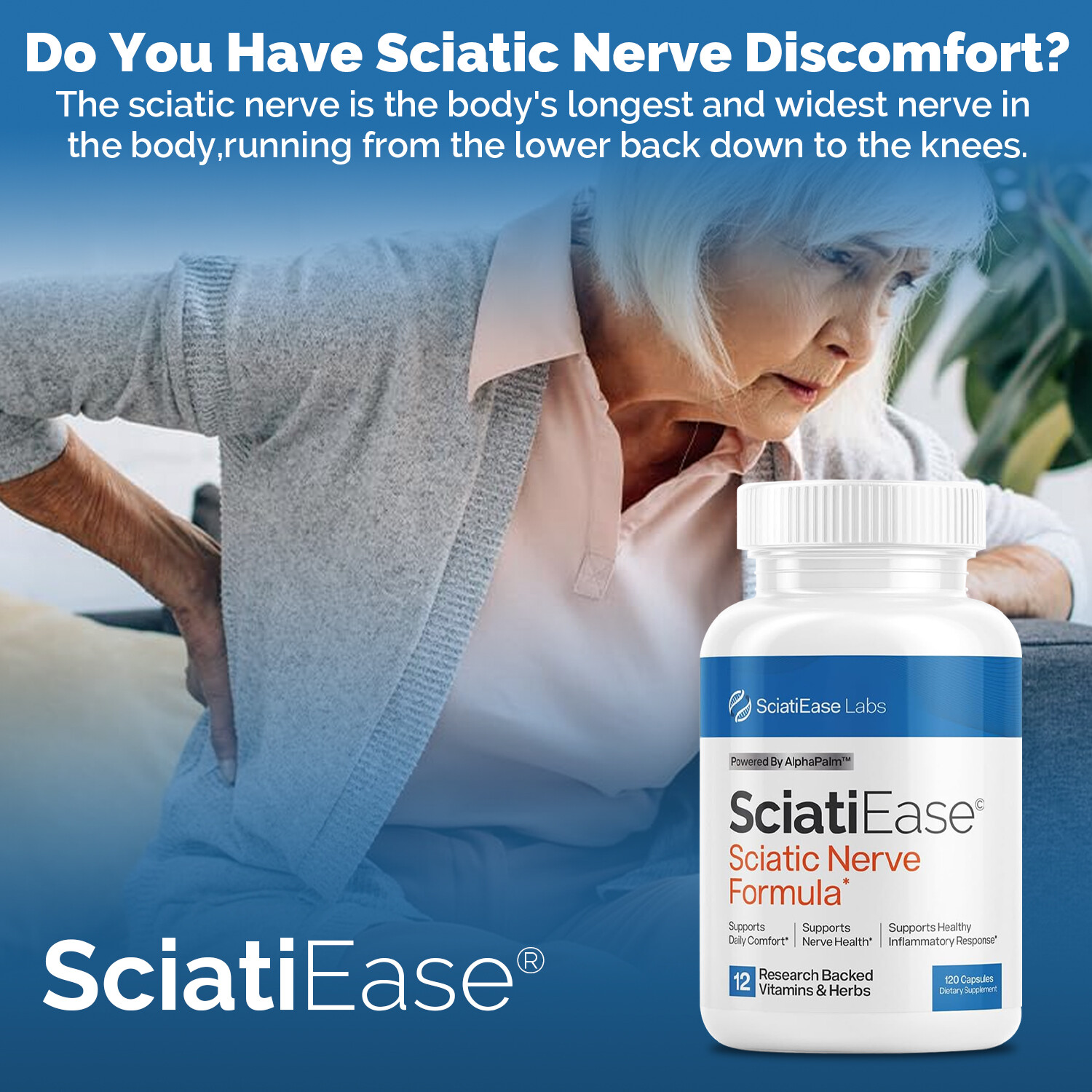 SciatiEase Labs Sciatic Nerve Formula – R-ALA, PEA – Relieve Pain & Inflammation