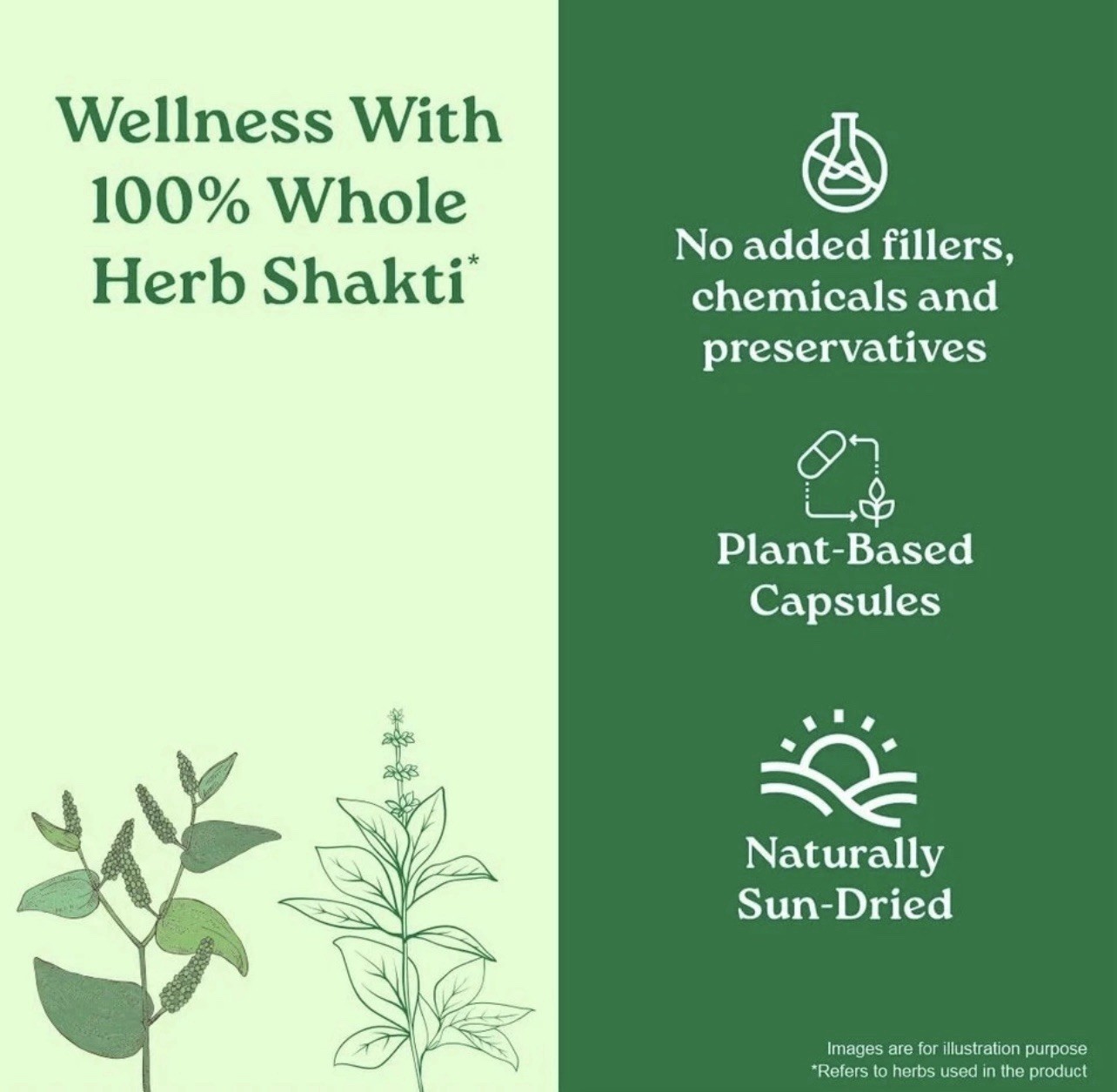 Organic India Breathe Free 60 Veg Capsules Ayurvedic Herbal Wellness 5 Pack