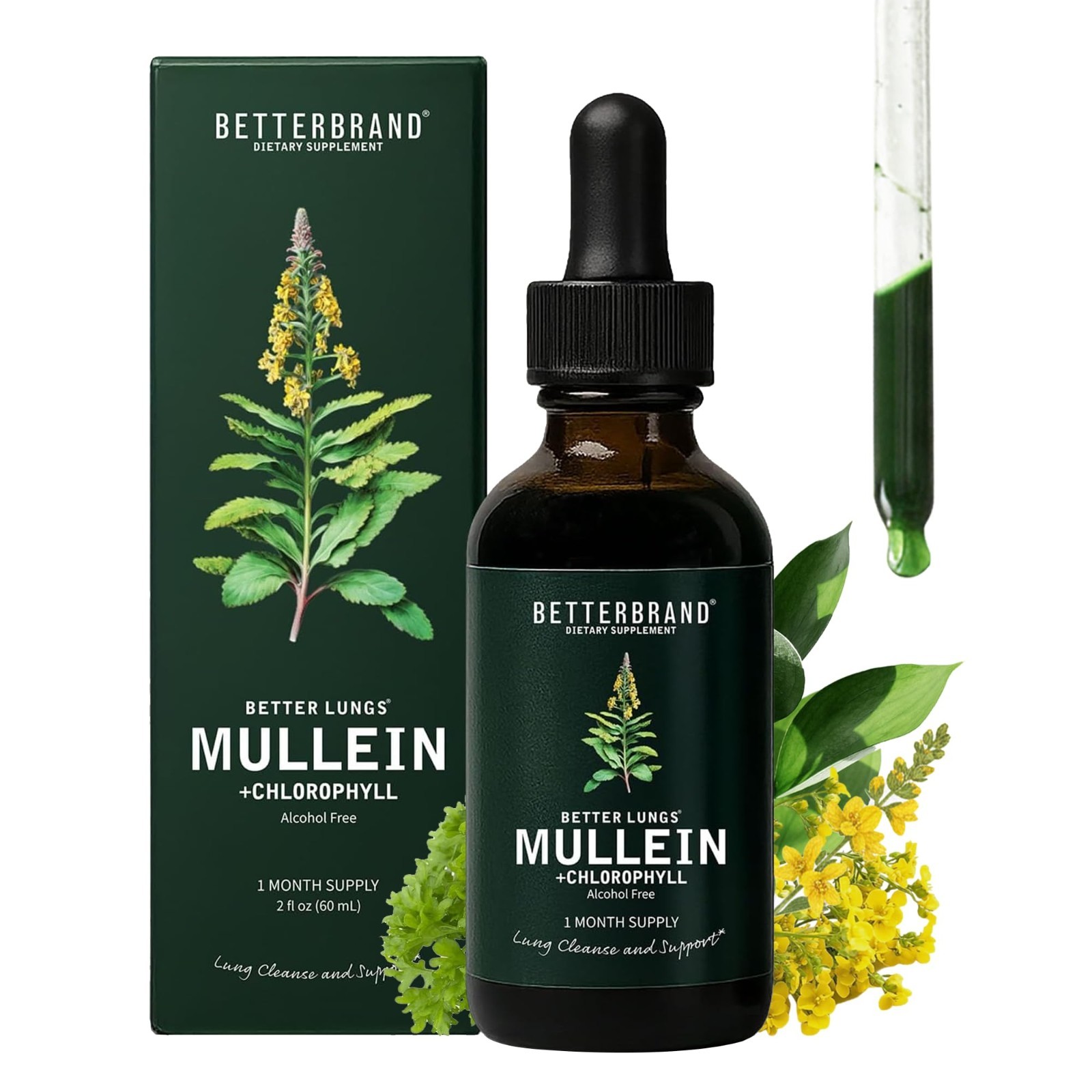 Mullein Leaf Tincture Drops – Lung Detox & Respiratory Support, Alcohol-Free, 1