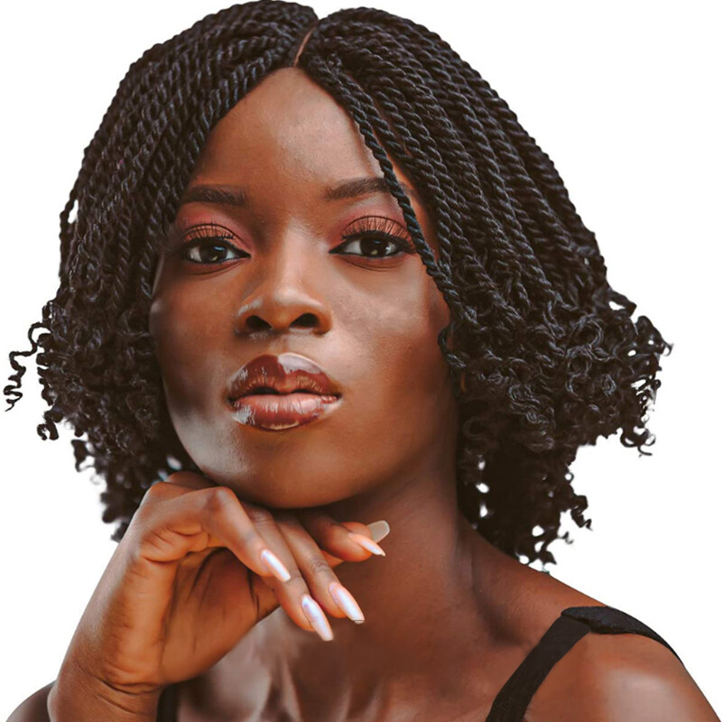 Short Bob Twisted Braids Wig Curly Black Wigs Synthetic Braided Wigs None Lace