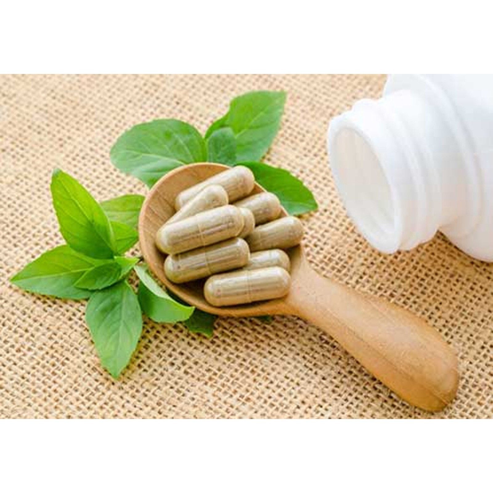 GARCINIA CAMBOGIA HCA 95% 3000mg Daily Weight Loss Diet (1-Month Support)