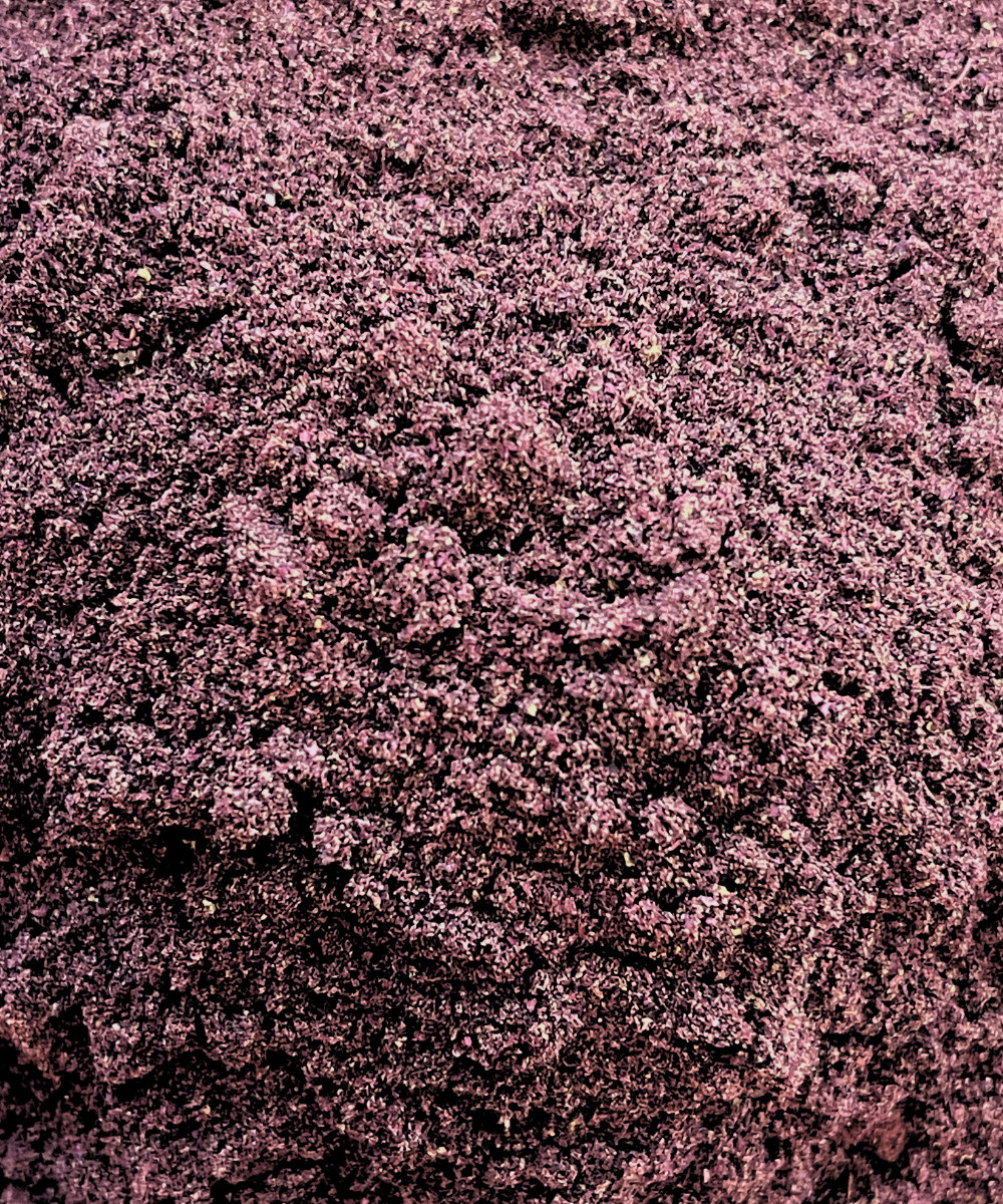 Bilberry Fruit Powder – 100% Pure, Non-GMO Vaccinium Myrtillus, Antioxidant USA