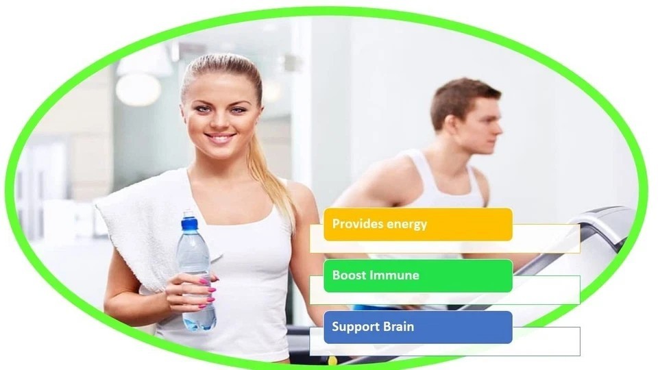 HALEUP American Ginseng 500 Mg 60 Capsules Improves Immunity | Boosts Strength