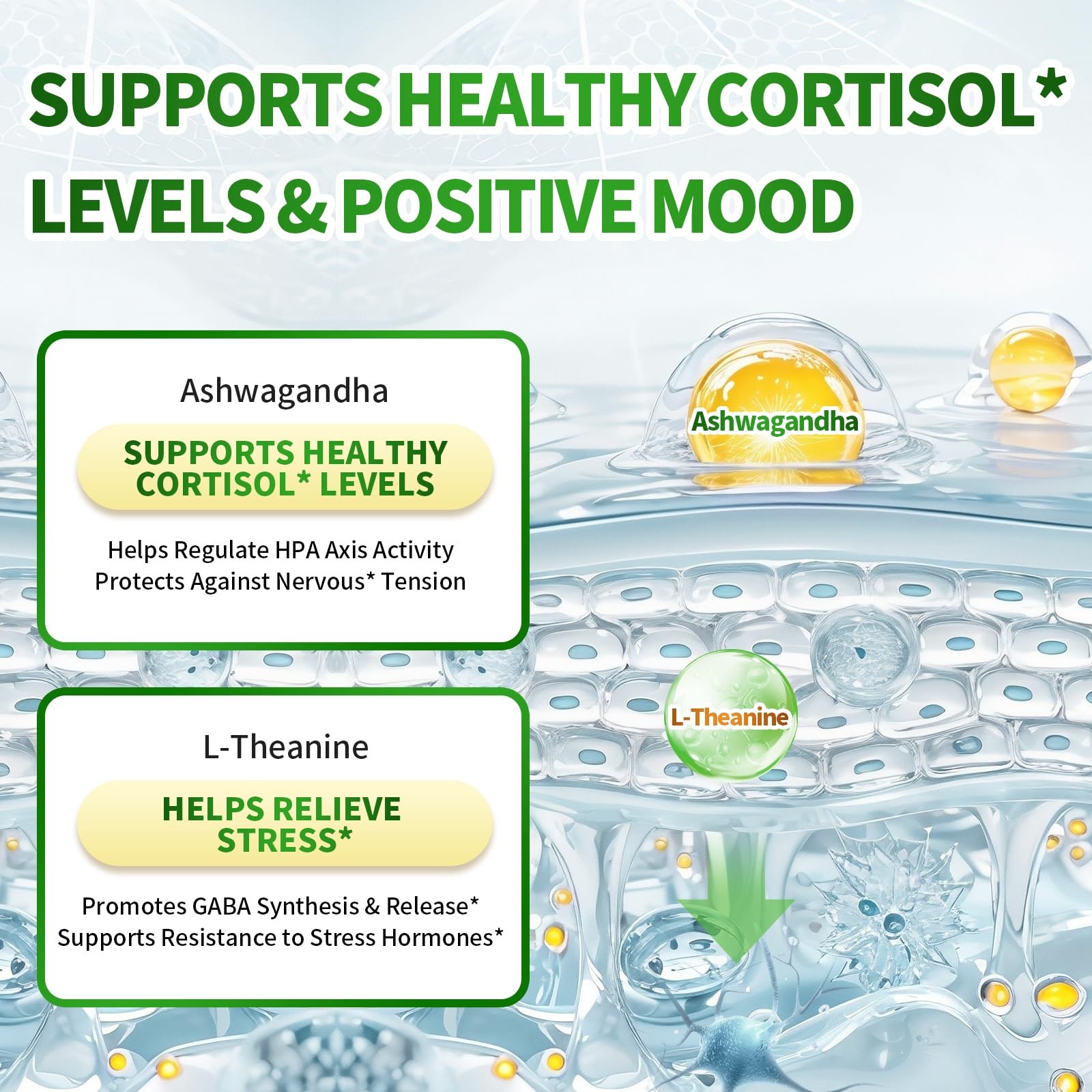 Magnesium Complex for Women & Men with Cortisol Support, D3, Zinc, 7 Forms Ma…