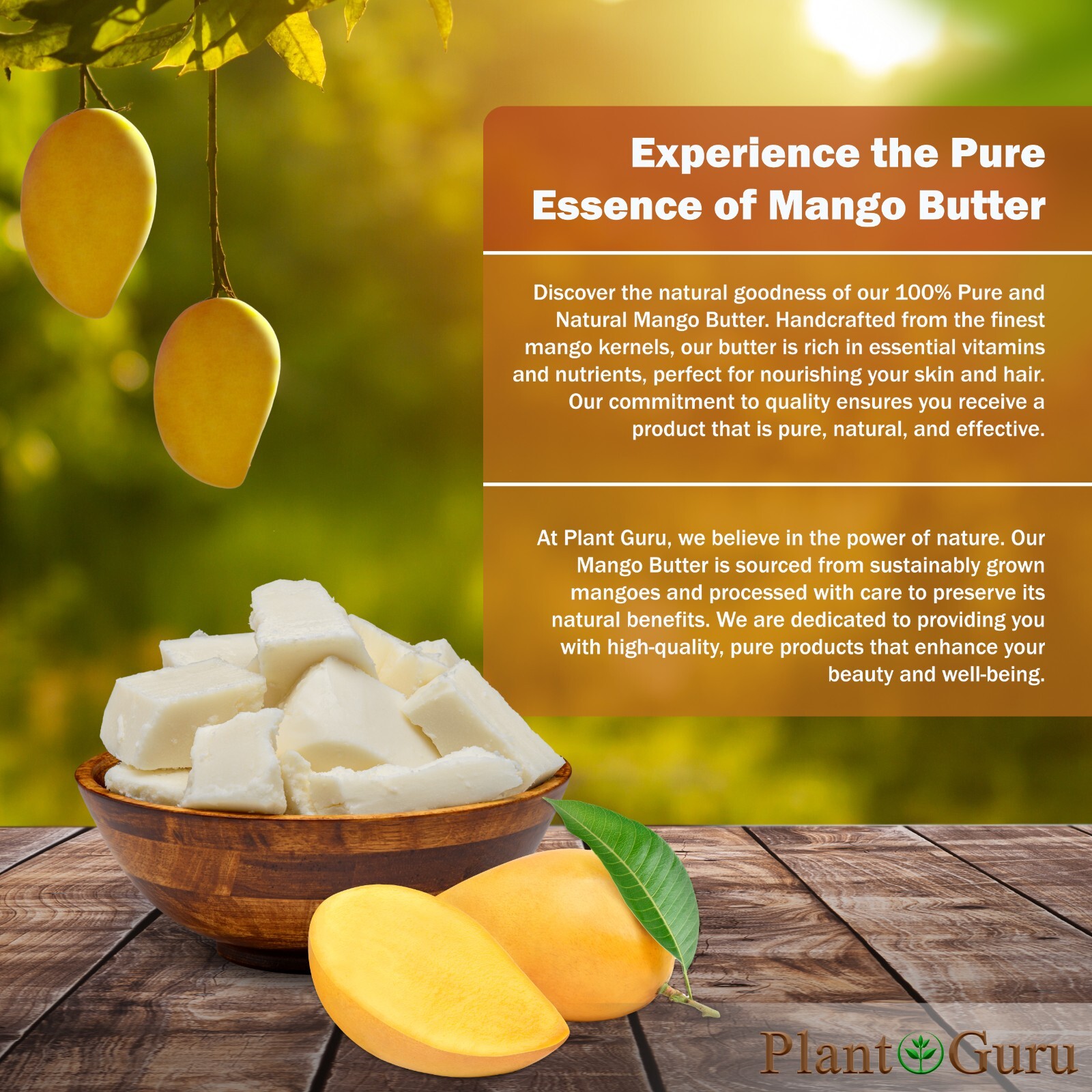 Raw Mango Butter 100% Pure Organic Natural Unrefined For Skin Body Hair Bulk