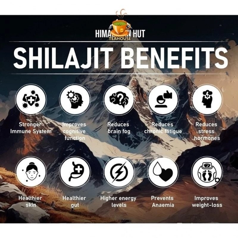 Pure Himalayan Shilajit Resin Organic Mineral Rich Wellness Supplement