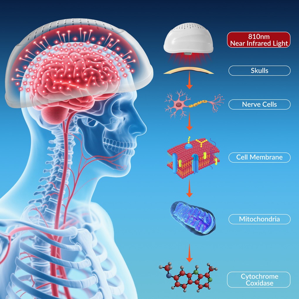 810nm Near Infrared Helmet Boost Brain Power Focus Memory and Natural Recovery