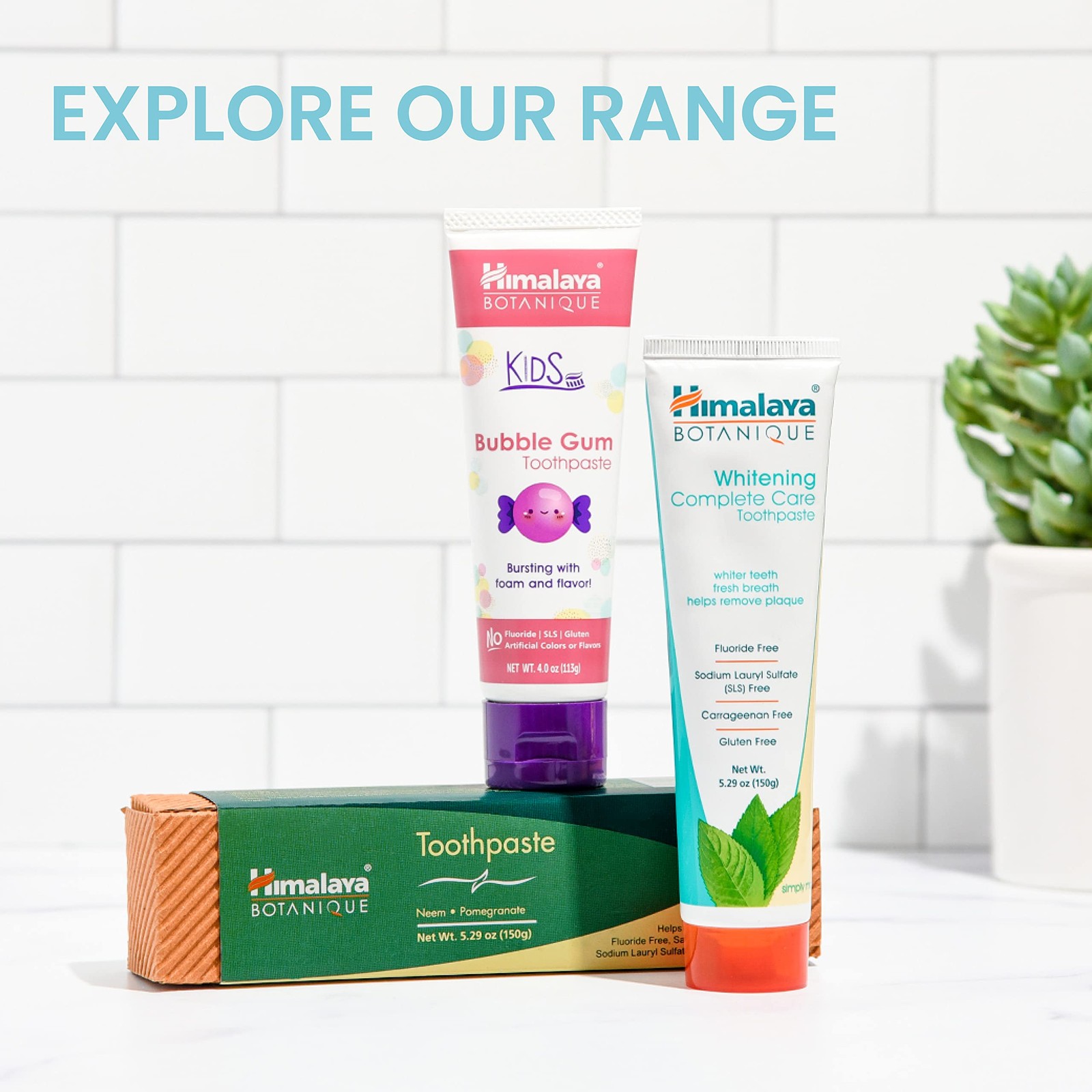 Himalaya Botanique Original Neem & Pomegranate 5.29 Ounce (Pack of 4)