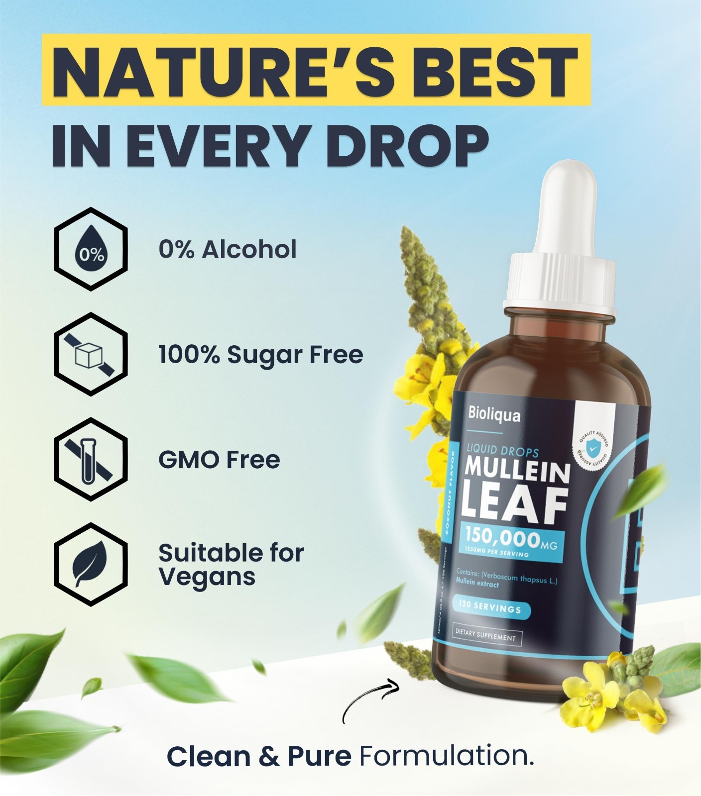 High Strength Mullein Drops 150,000mg – Lung Detox Tincture 4oz – 120 Servings